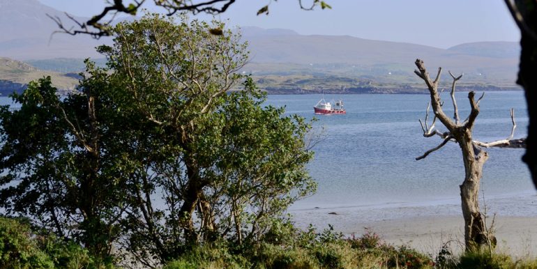 Ross Point Cottage (2)