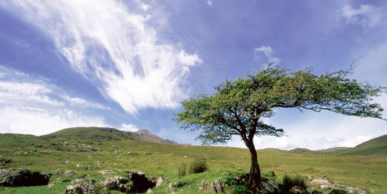 landscape connemara