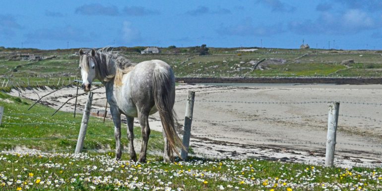 self catering holiday home clifden connemara galway (11)