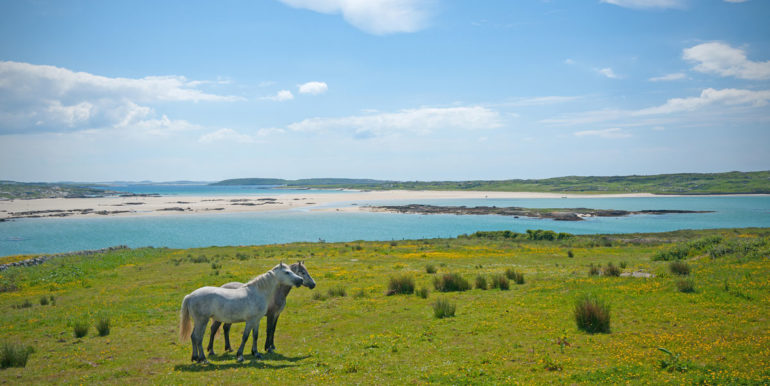 vacation rental cleggan connemara (3)