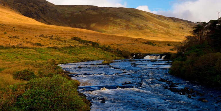 Tourism Ireland