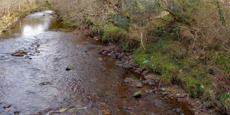 visit clifden glen (2)