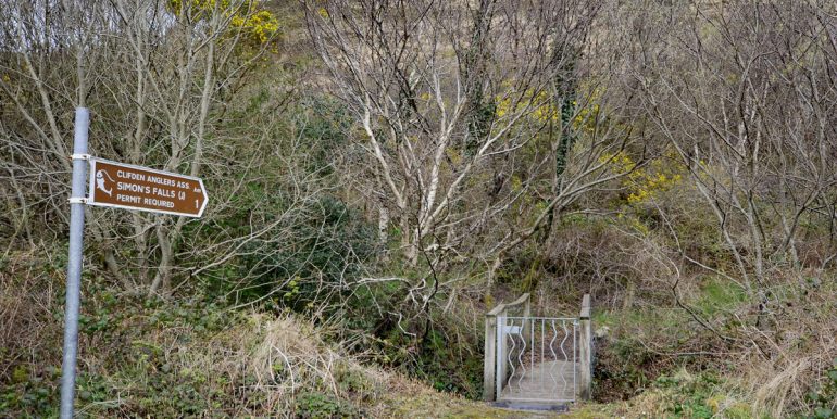 visit clifden glen (6)