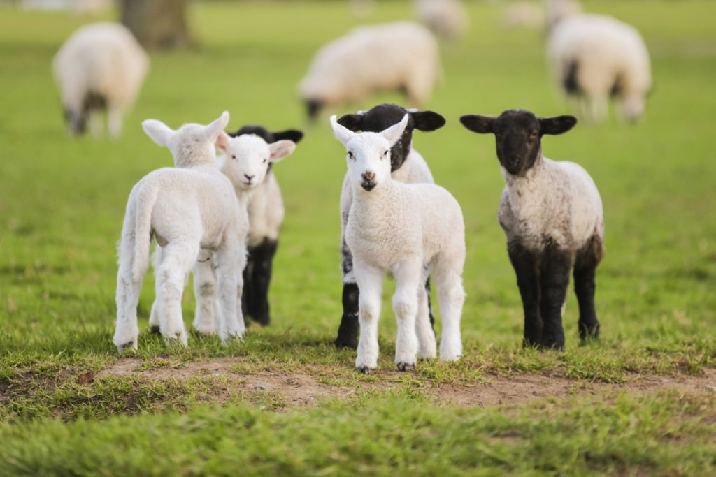 Save on Spring Short Breaks