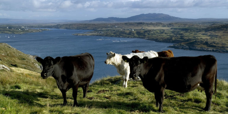 visit clifden connemara (9)