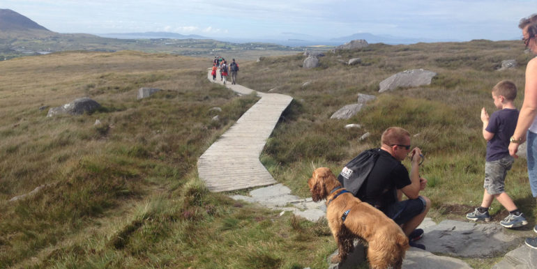 Connemara National Park (2)