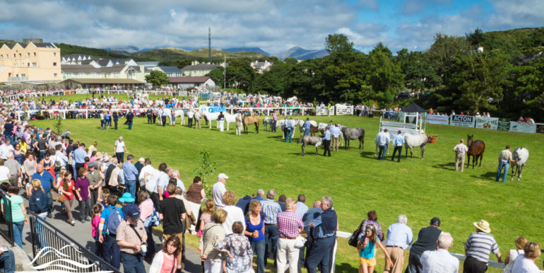 things to do in clifden galway (2)