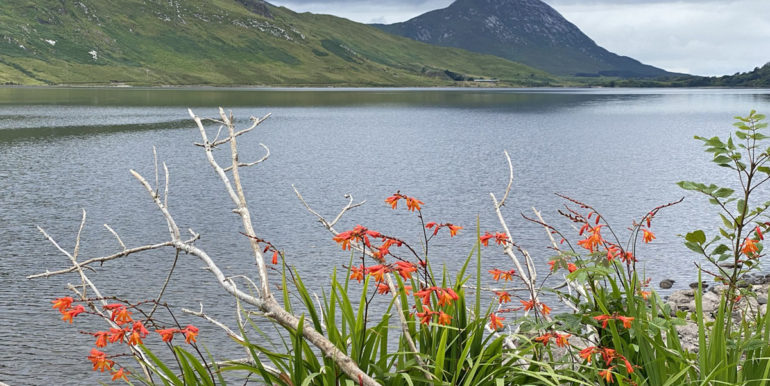 vacation rental apartment near kylemore abbey (3)