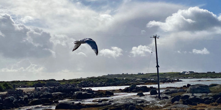 vacation rental carna connemara gaeltacht galway (4)