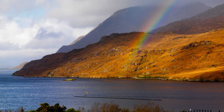 Tourism Ireland