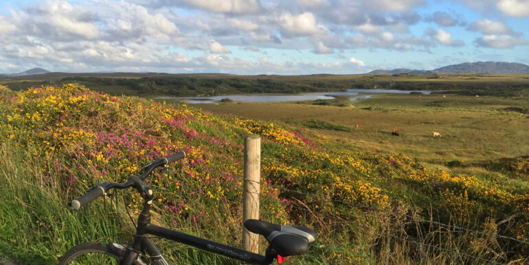 visit clifden self catering log cabin connemara greenway (3)