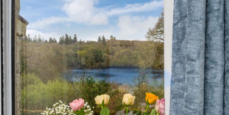 old manor ballynahinch apartment to rent (6)
