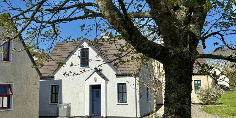 504 clifden