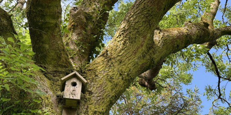 self catering vacation near glenlo abbey (3)