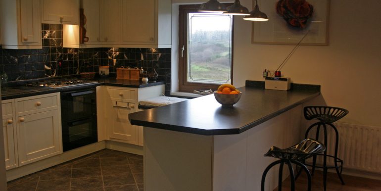 holiday home oak lodge moyard (4)