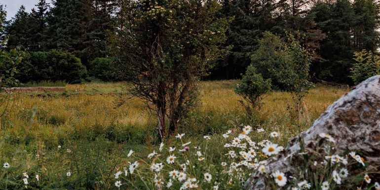 vacation rental thatched cottage galway (4)