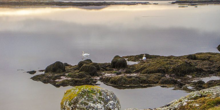 holiday home prestons cottage cashel galway (2)