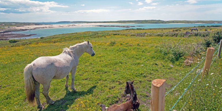 vacation rental cleggan clifden connemara galway (4)