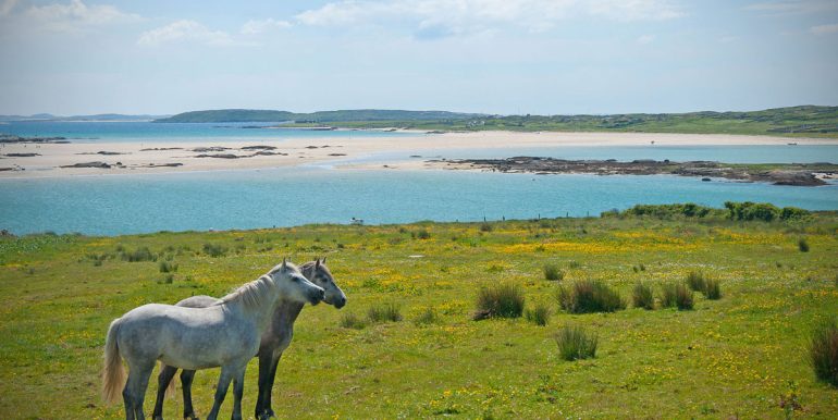 vacation rental omey view claddaghduff cleggan (3)