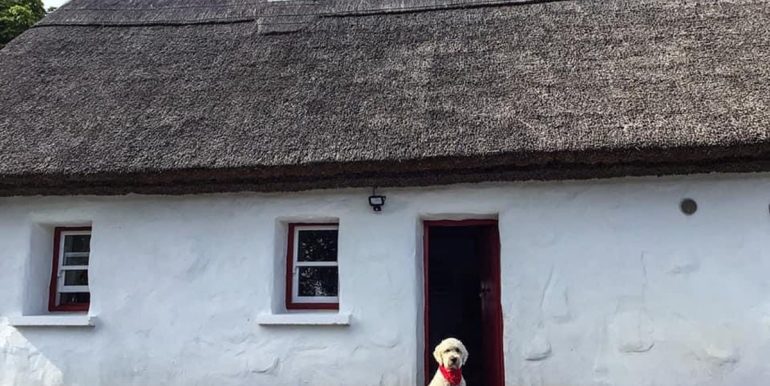 vacation rental thatched cottage galway (2)